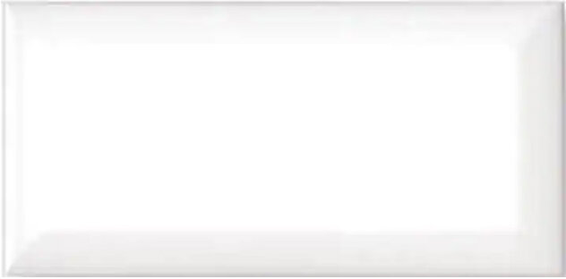 Pro White Fasad Blank